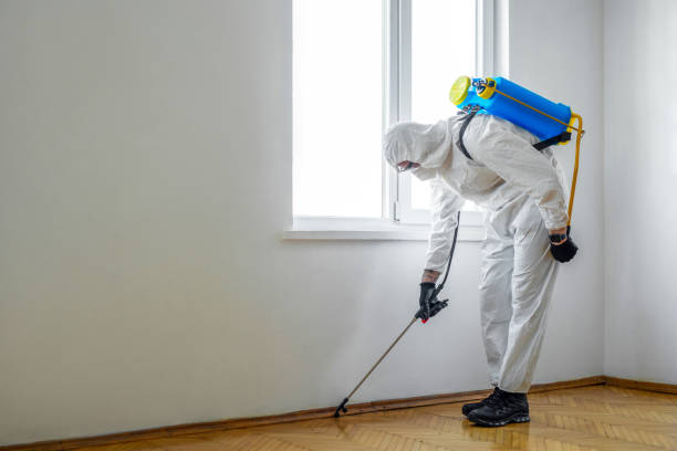 Best Spider Control Near Me  in New Milford, NJ